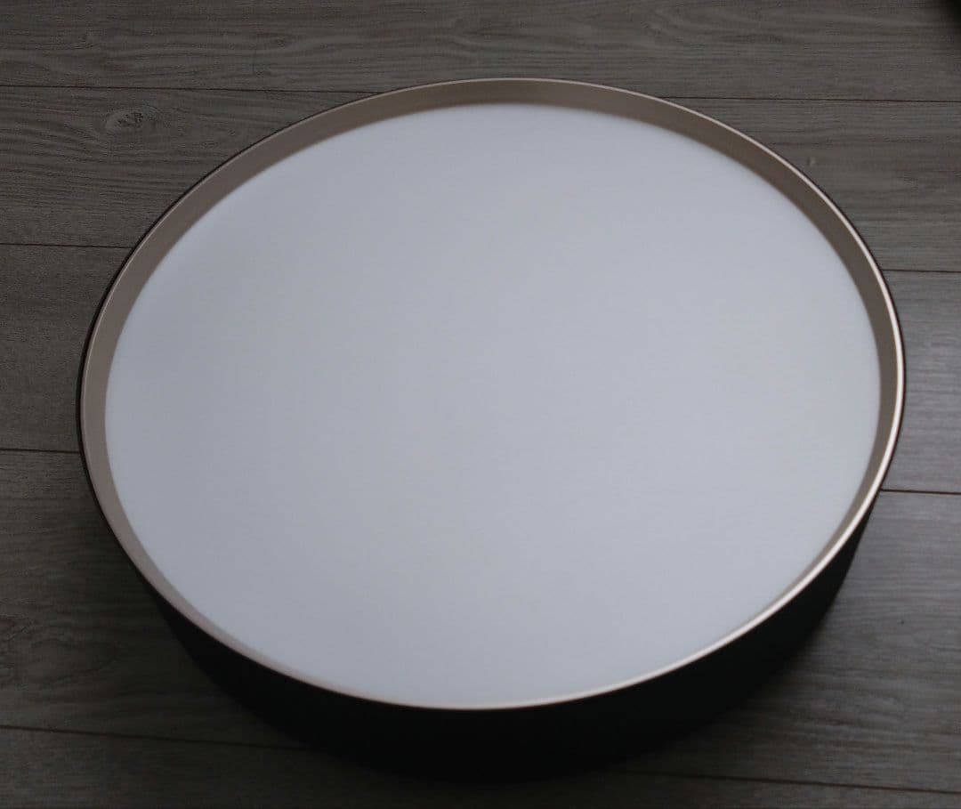 ARTWORKSTUDIO 4000LEDシーリングライト シャンパンゴールド