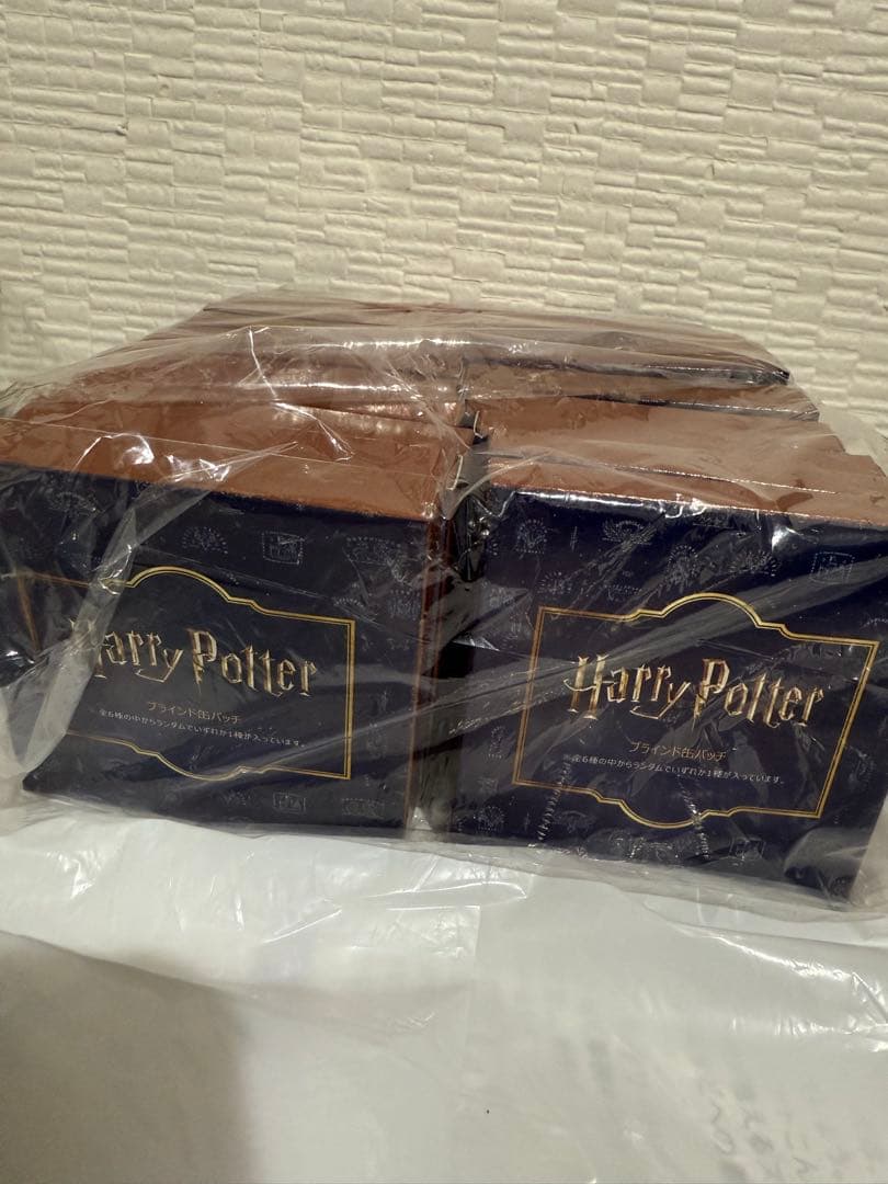 缶バッジ　ブラインド缶バッチコレクション　ハリーポッター　flapper