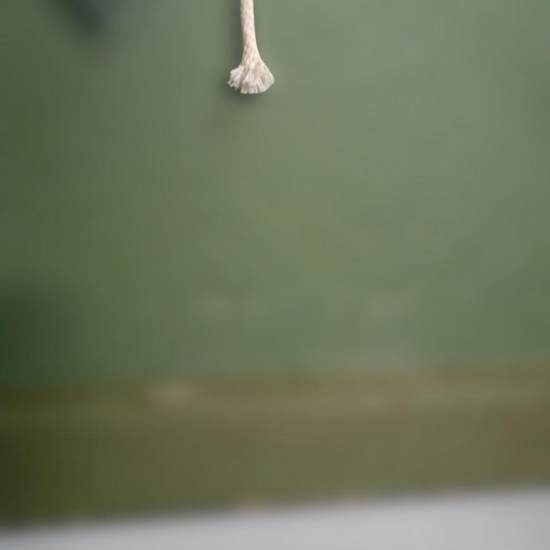 5207 西山喬 アンデスの親子　水彩画　額装