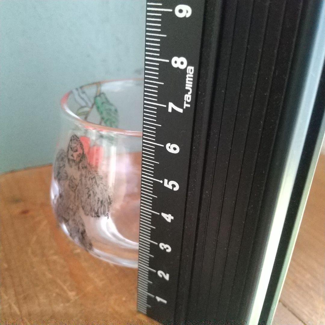 美品　木越あい　しりとり文グラス　ネコ　マウンテンゴリラ　ガラス作家