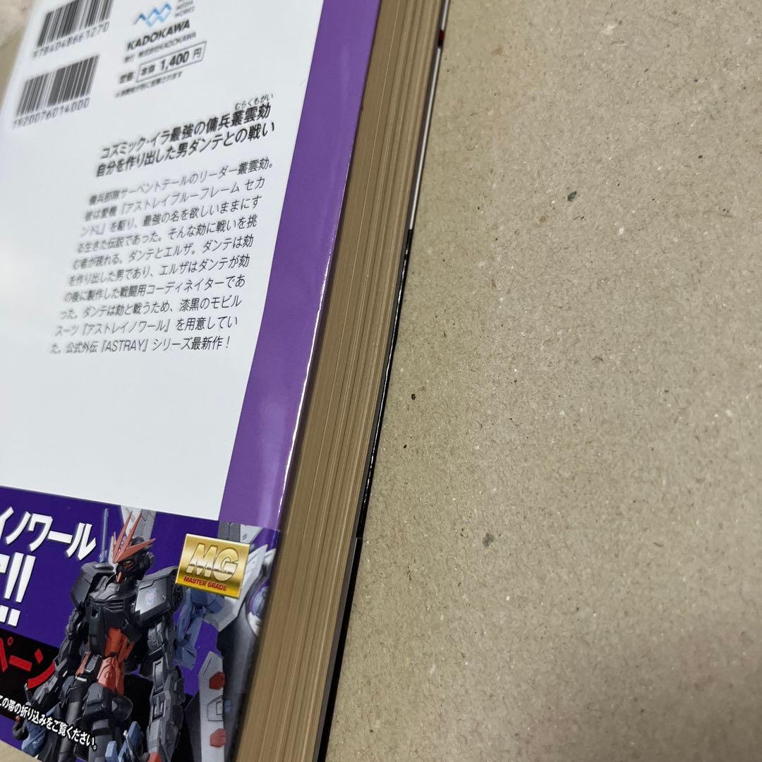 機動戦士ガンダムSEED DESTINY ASTRAY B 初版上下巻セット