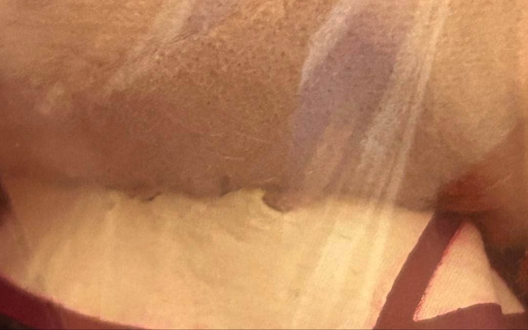 ときめきメモリアル Girl’s Side ときメモ　ペアぬいぐるみ　針谷幸之進