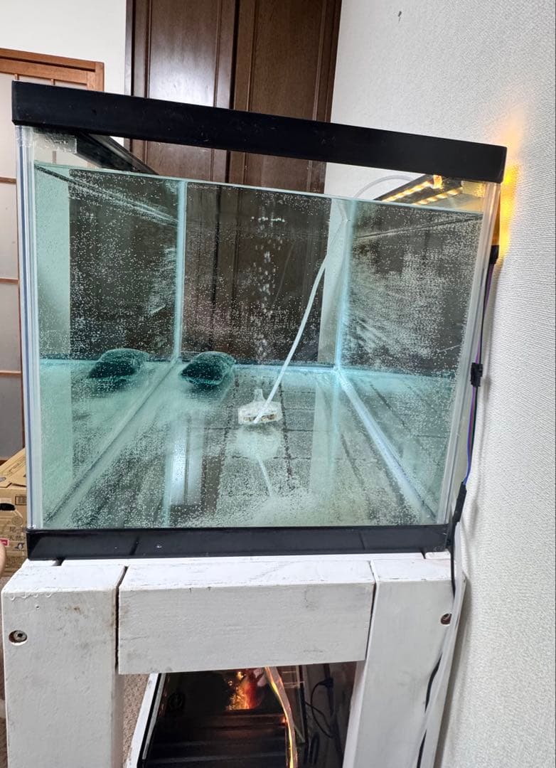 栃木県　引き取り限定　90センチ　ガラス水槽　水槽台