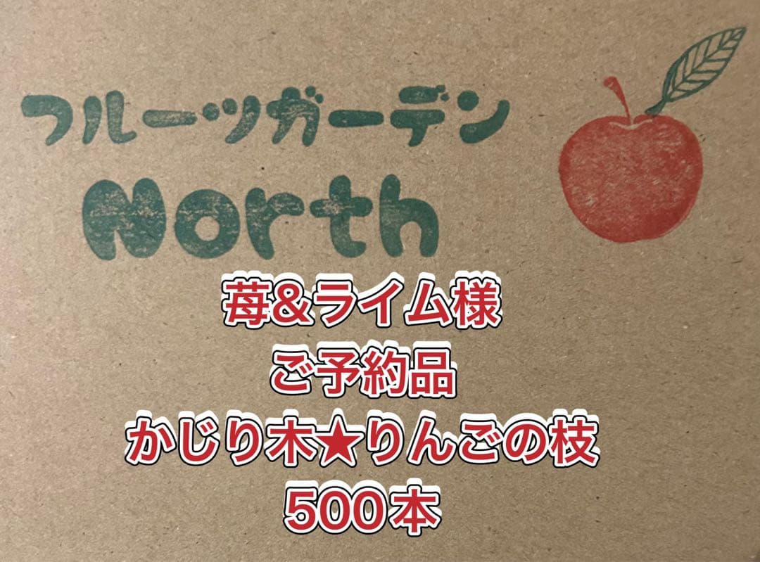 苺&ライム様ご予約品　かじり木　りんごの細枝　太さ1〜3mm 500本