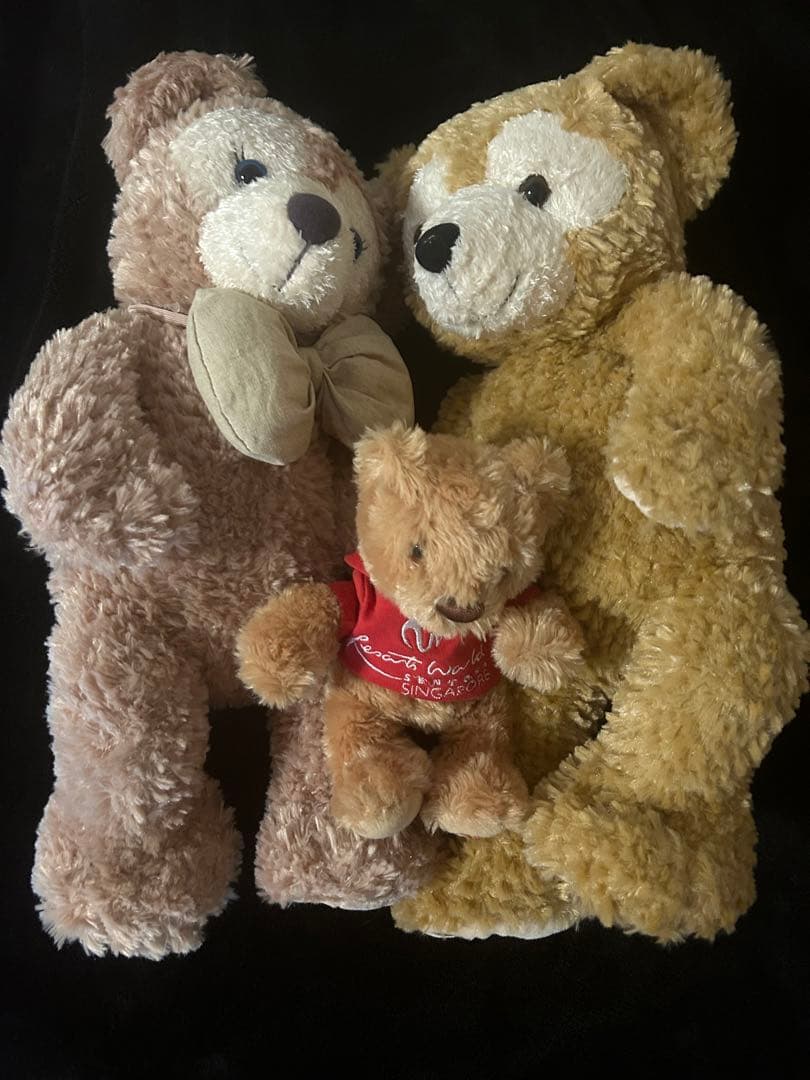 ダッフィーぬいぐるみ ディズニー 非売品 3点セット