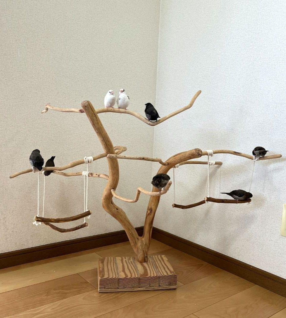 【小鳥用】ブランコ付くねくねバードアスレチック