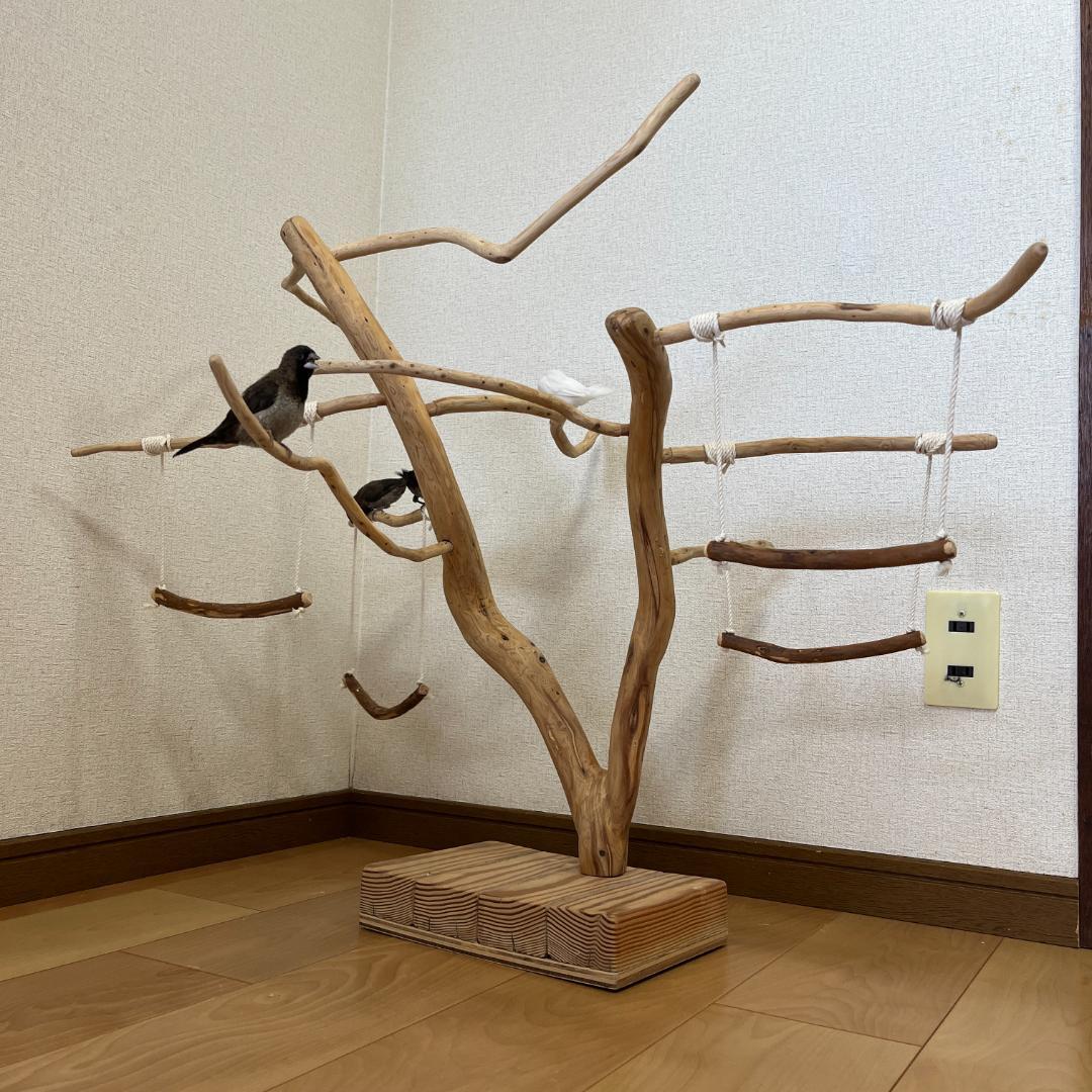 【小鳥用】ブランコ付くねくねバードアスレチック