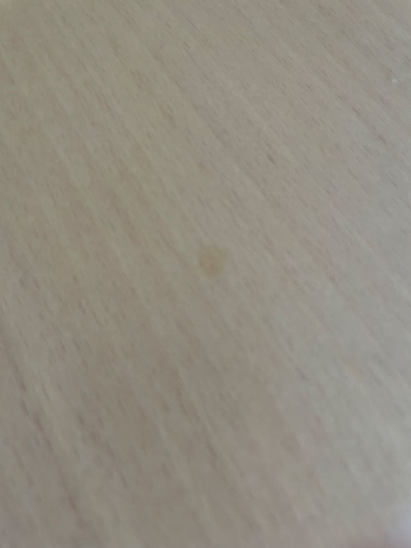 Fritz Hansen フリッツハンセン Bテーブル スーパー円テーブル