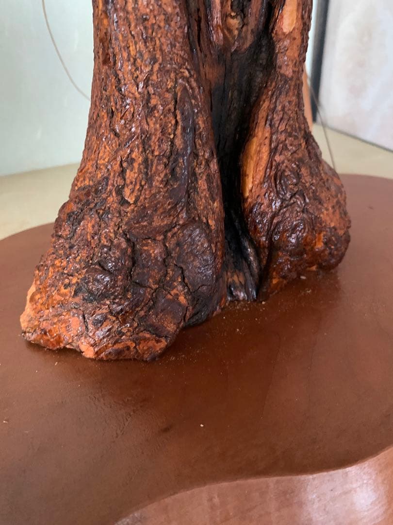 風鳥 極楽鳥 剥製 インテリア アンティーク レトロ ヴィンテージ アート