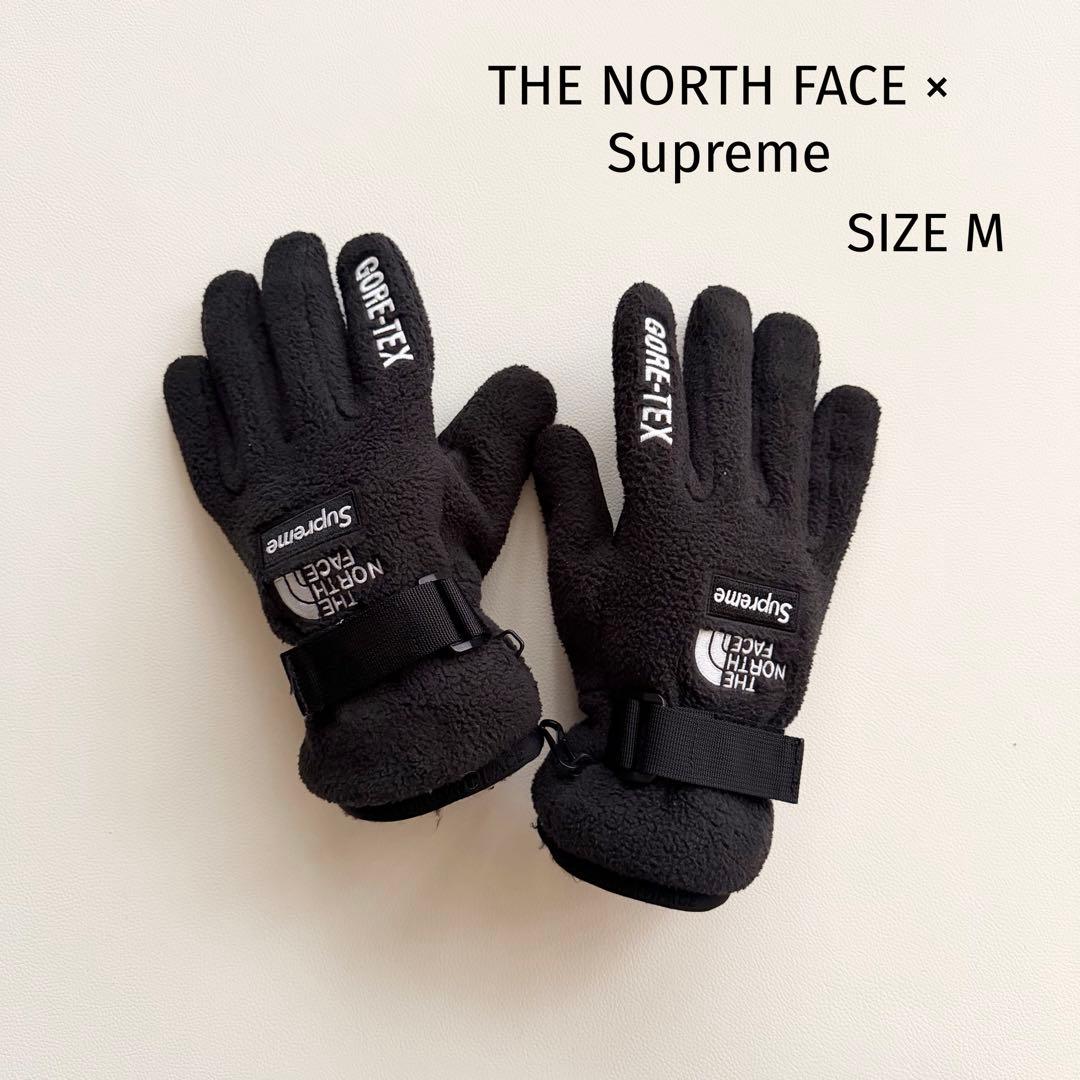 【ザノースフェイス × シュプリーム 】GORE-TEX グローブ ブラック M