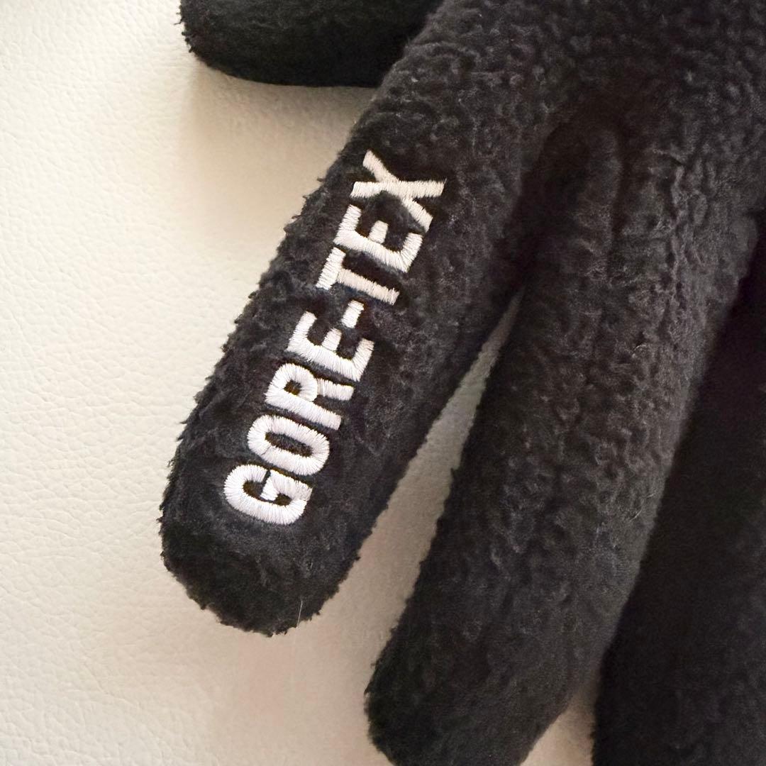 【ザノースフェイス × シュプリーム 】GORE-TEX グローブ ブラック M