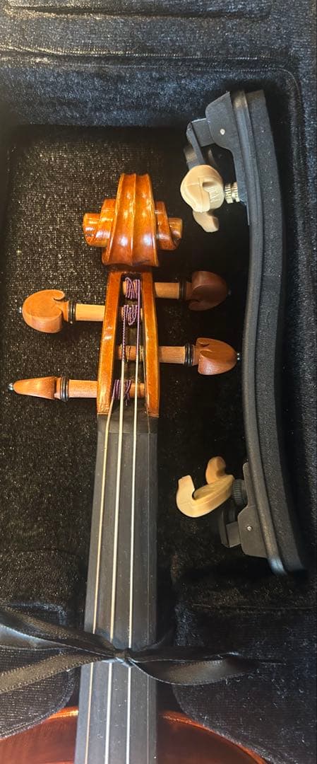 カルロ・ジョルダーノ バイオリン VS-2 1/2 2019年