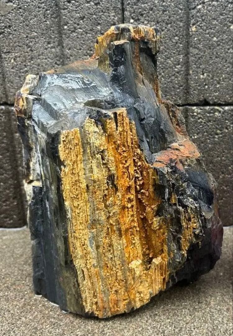 北海道　遠軽町瀬戸瀬産　特大　木化石　パワーストーン　5.4kg アクアリウム