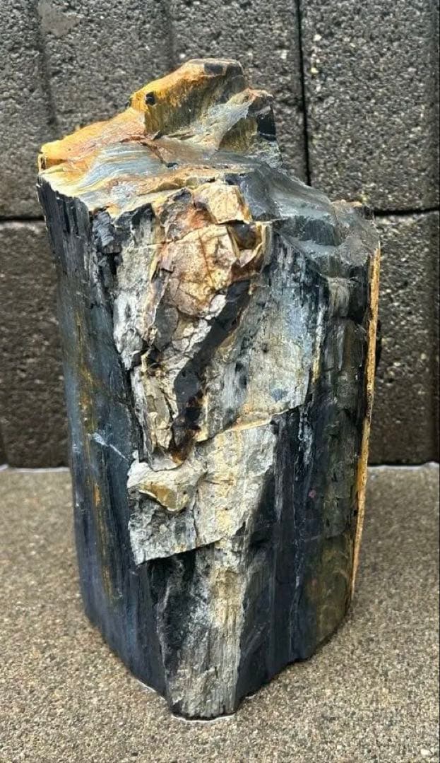 北海道　遠軽町瀬戸瀬産　特大　木化石　パワーストーン　5.4kg アクアリウム