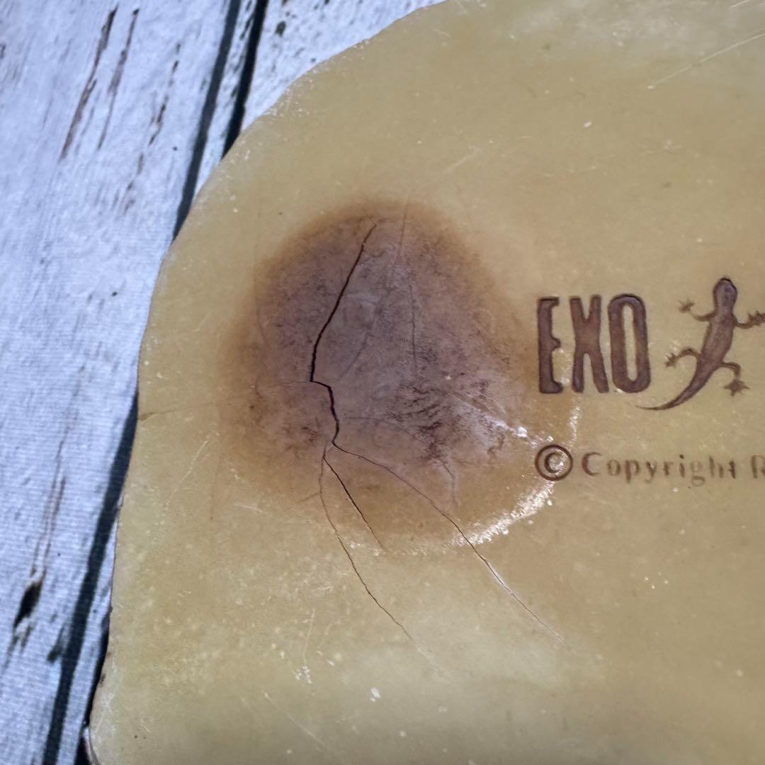 超お買い得セット　匿名配送　送料無料　飼育用品セット　餌皿　エキゾテラ　ボックス