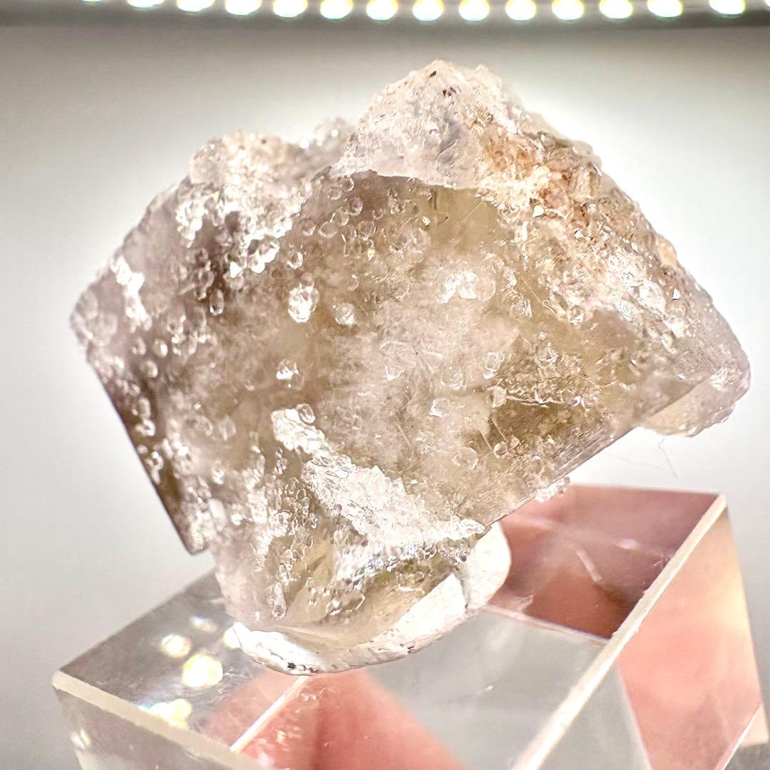 581 イギリス　シェリーツインズポケット　フローライト