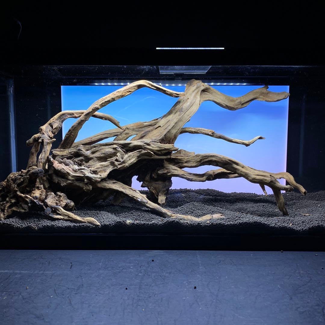MSRW-6382 天然流木レイアウトセット　スリムウッド　アクアリウム