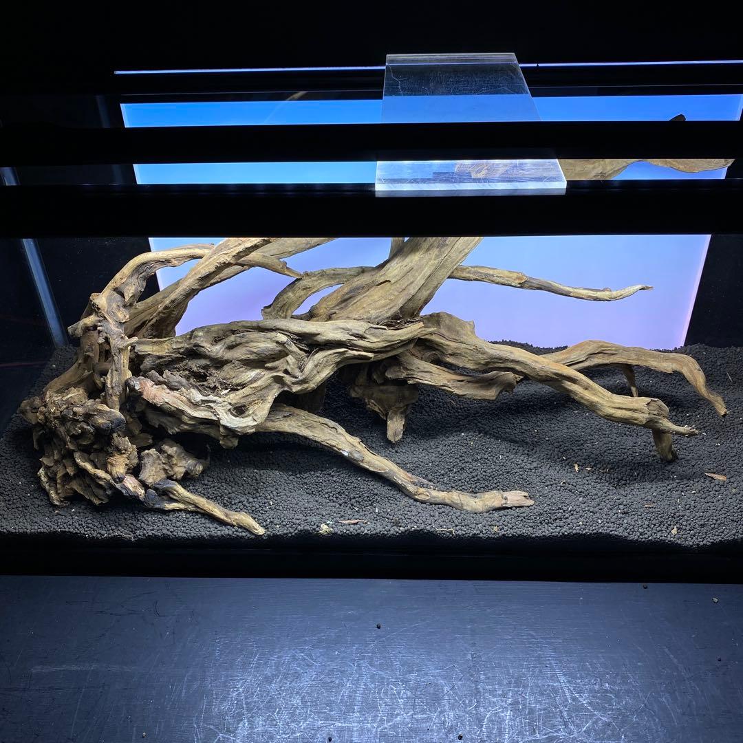 MSRW-6382 天然流木レイアウトセット　スリムウッド　アクアリウム