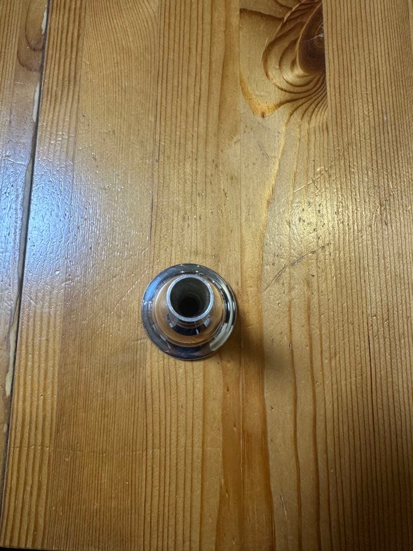 管楽器・吹奏楽器 ULTIMATEBRASS Buzz C1-E