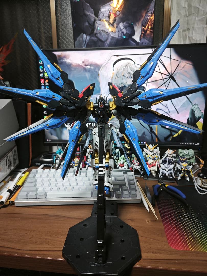 mgex ストライクフリーダムガンダム 組み立て済み