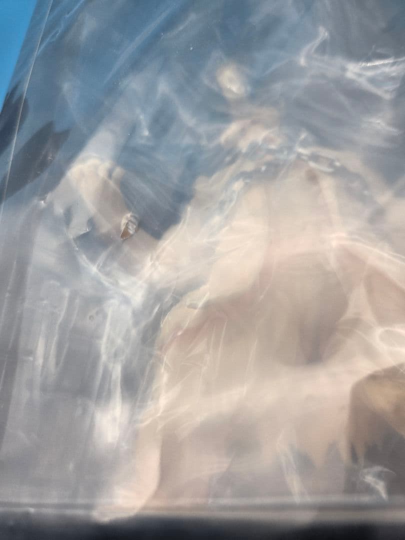 CCP製キンソフマンモスマン肌