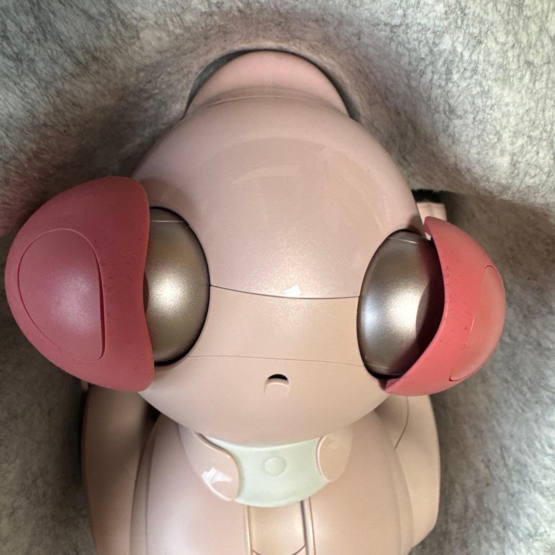 aibo本体　いちごミルク色　限定色