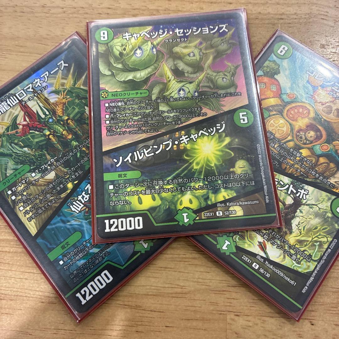 【追跡付き】 CS優勝構築 グランセクト デッキ 緑単キャベッジ