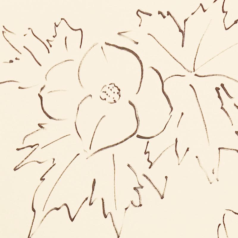 ☆坂本直行☆「 しらねあおい（庭の桜満開の日に）」ペン画！