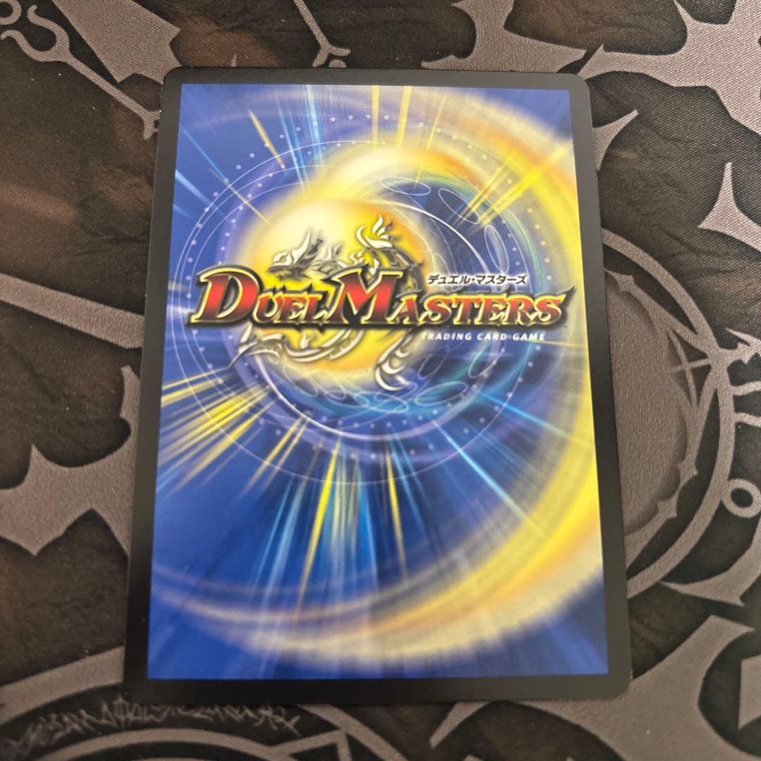 シャコガイル　b