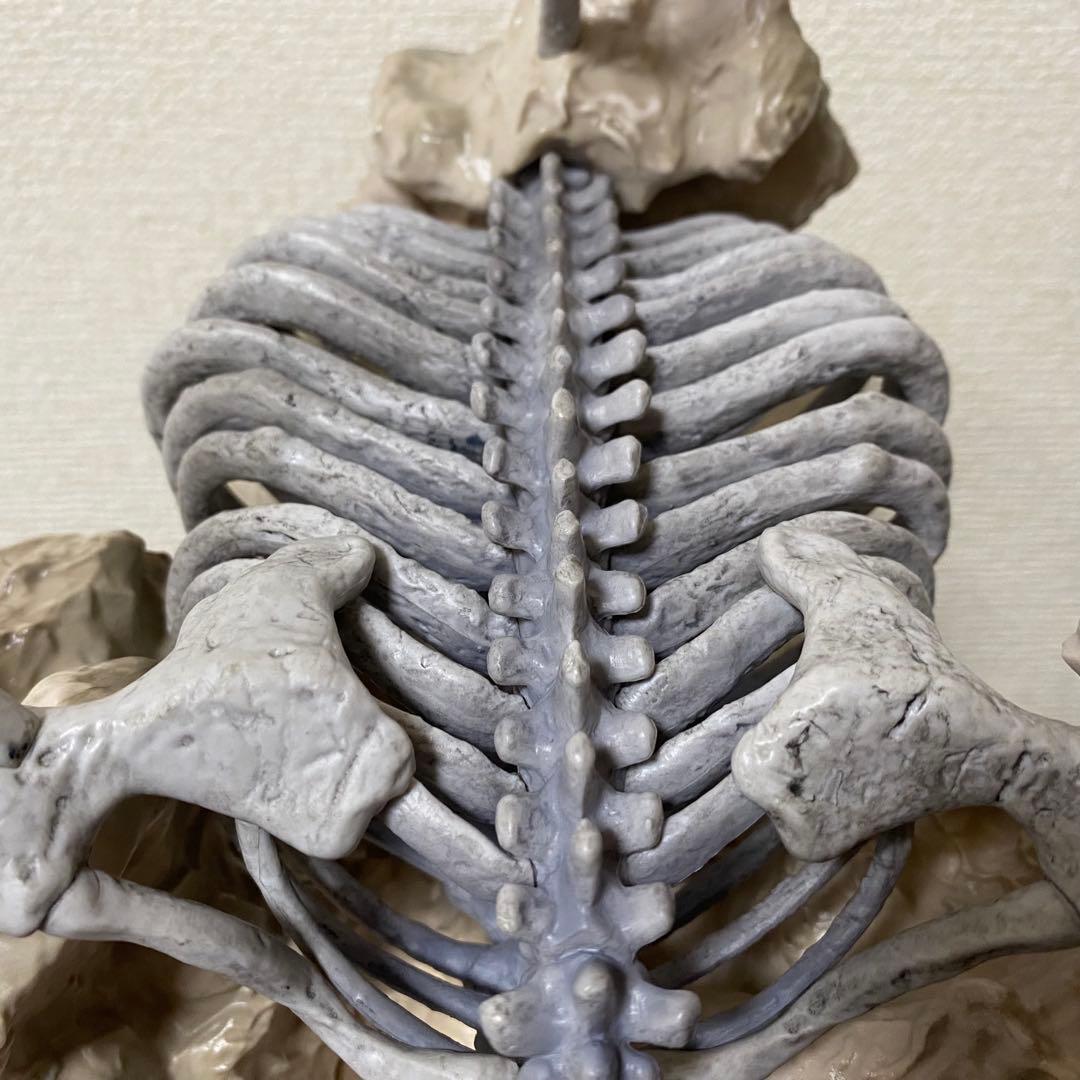 進撃の巨人 地鳴らし 一番くじ ラストワン賞 終尾の巨人 フィギュア