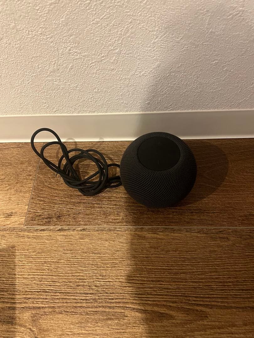 pod mini apple アダプターなし