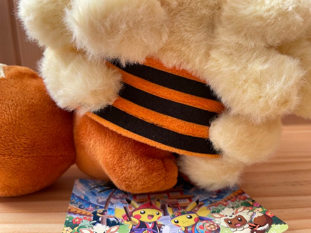 【希少】ポケセン沖縄限定 ウインディポンチョのイーブイ ぬいぐるみ 2体タグ付き