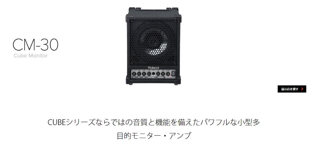 鍵盤楽器 Roland CUBE Monitor CM-30