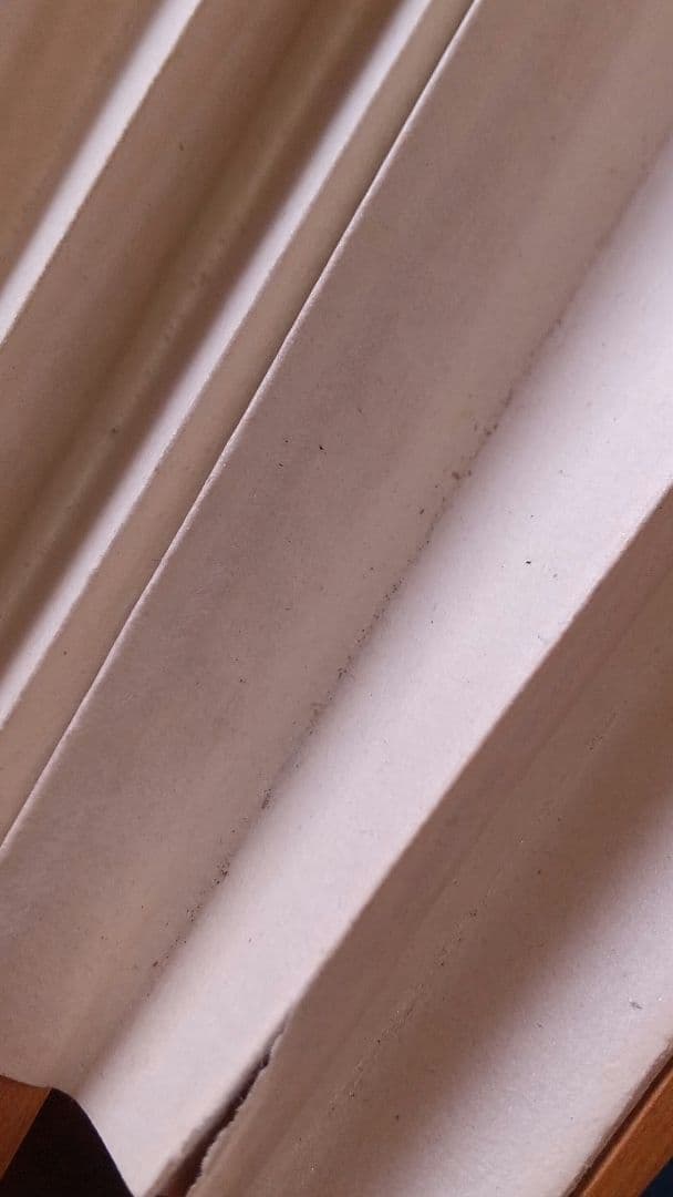 中国 子安刻 山水扇子 要破損 書画篆刻 頂布五層 舒蓮記監製？