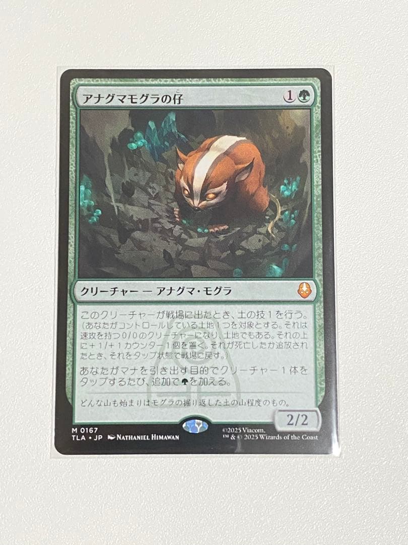 MTG アナグマモグラの仔 日本語版