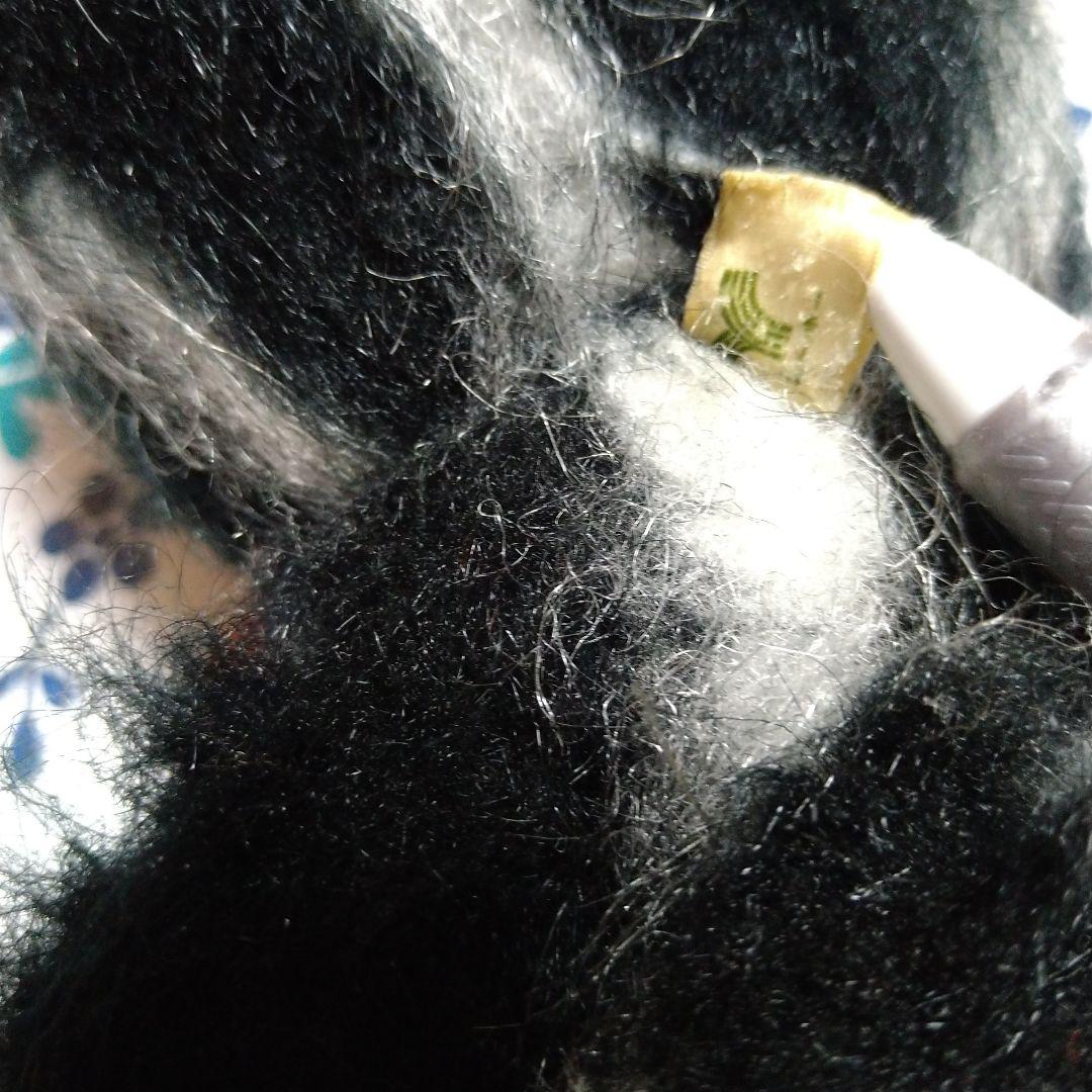 エンドーチェーン　セキグチ　モンチッチ　レアスカンク　森の仲間たち　希少