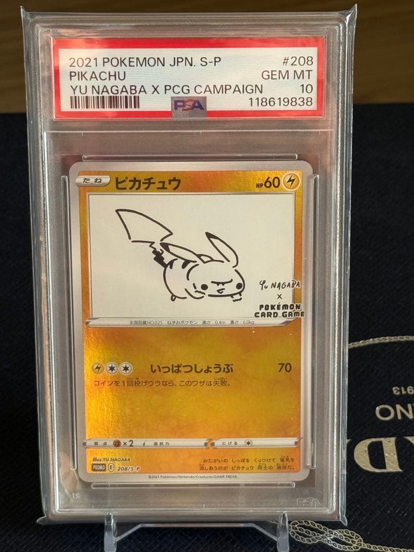 kazu様　ナガバピカチュウpsa10