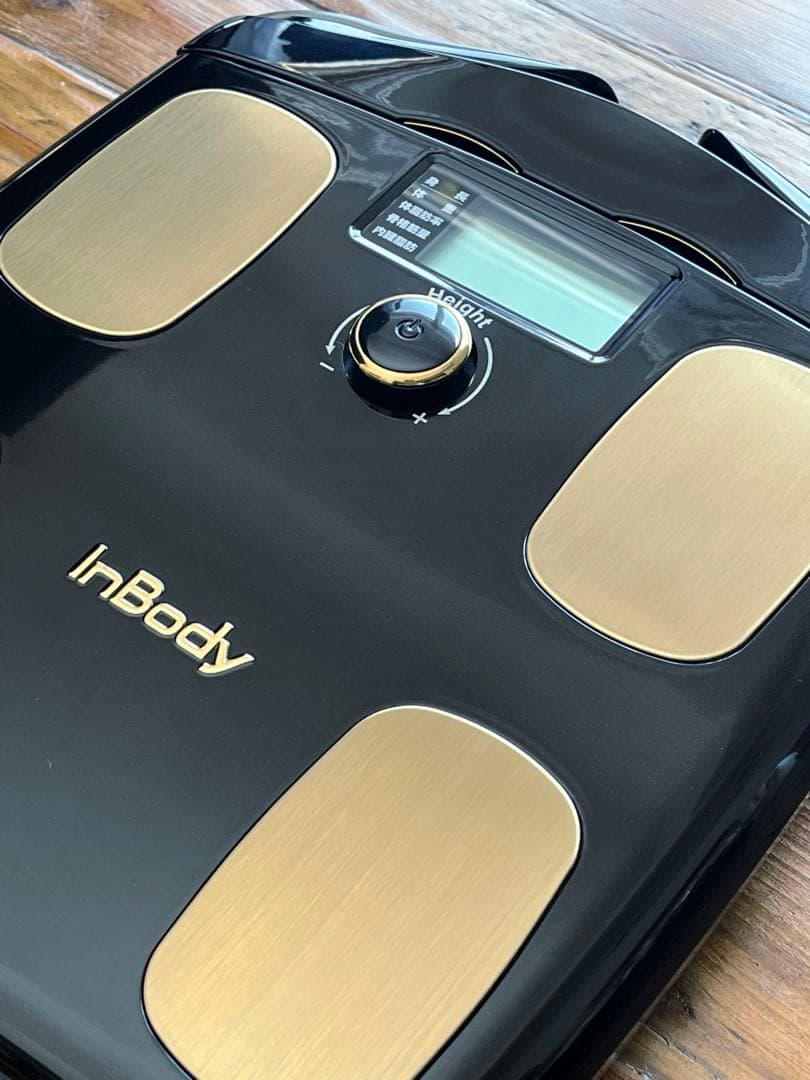 【極美品】InBody Dial H20 ミッドナイトブラック