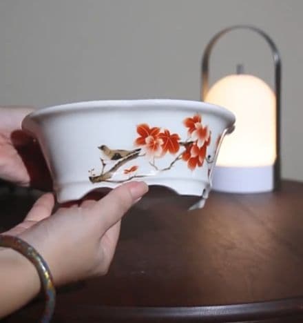 紅花海棠形陶器鉢 盆栽鉢 山野草鉢 多肉植物 植木鉢 小品大品盆栽鉢 置物