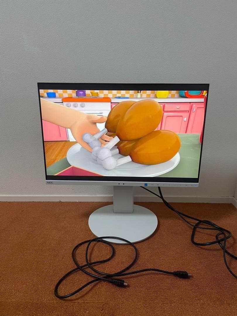 NEC MultiSync 19年製LCD-EA231WUモニター ディスプレイ