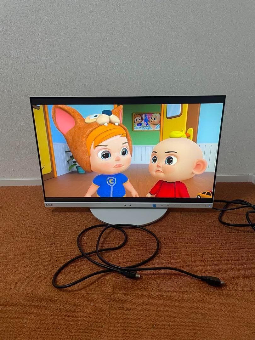 NEC MultiSync 19年製LCD-EA231WUモニター ディスプレイ