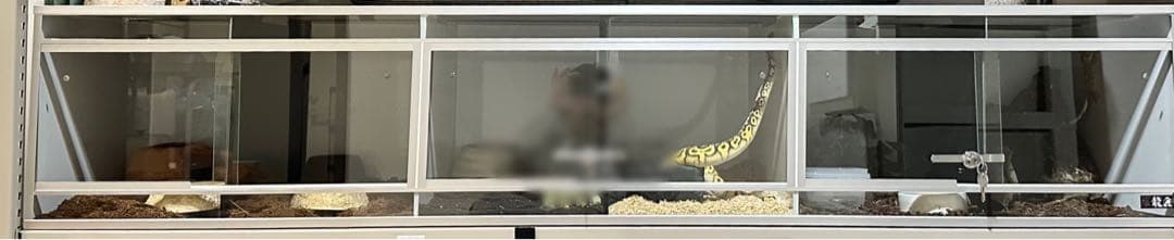 爬虫類飼育　龍匠ケージ　まとめ売り