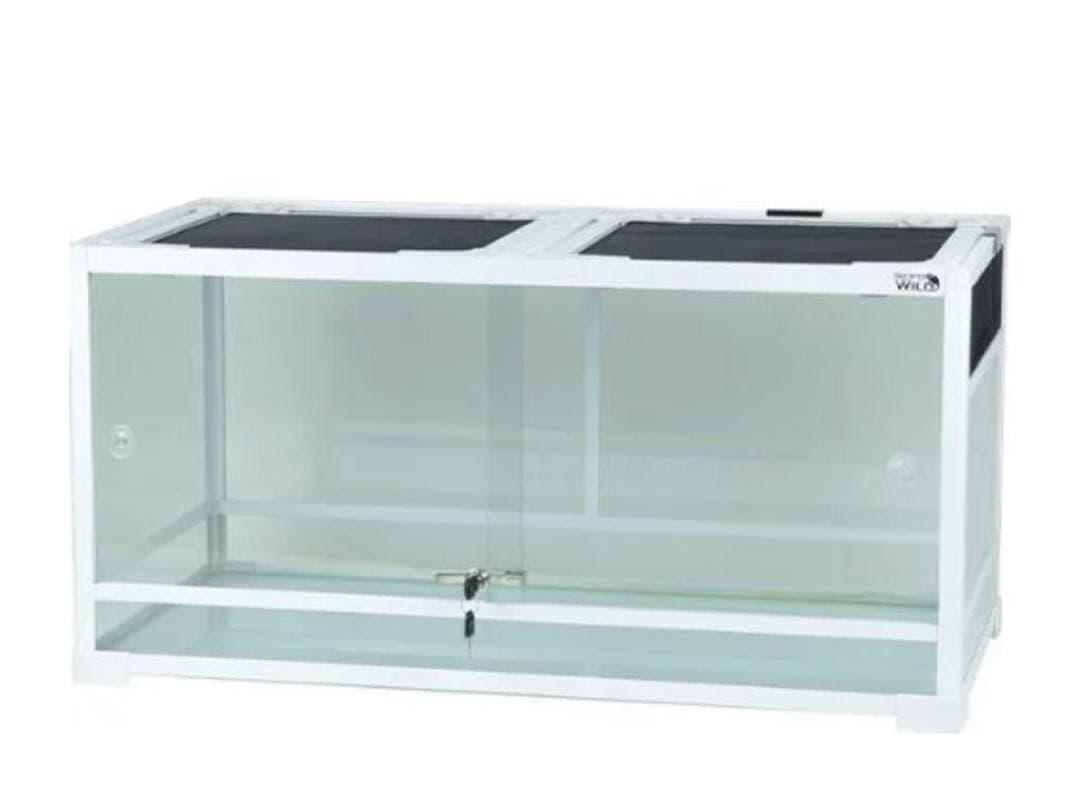 【美品】パンテオンホワイトWH9045 （新品ハリネズミ飼育用品付）