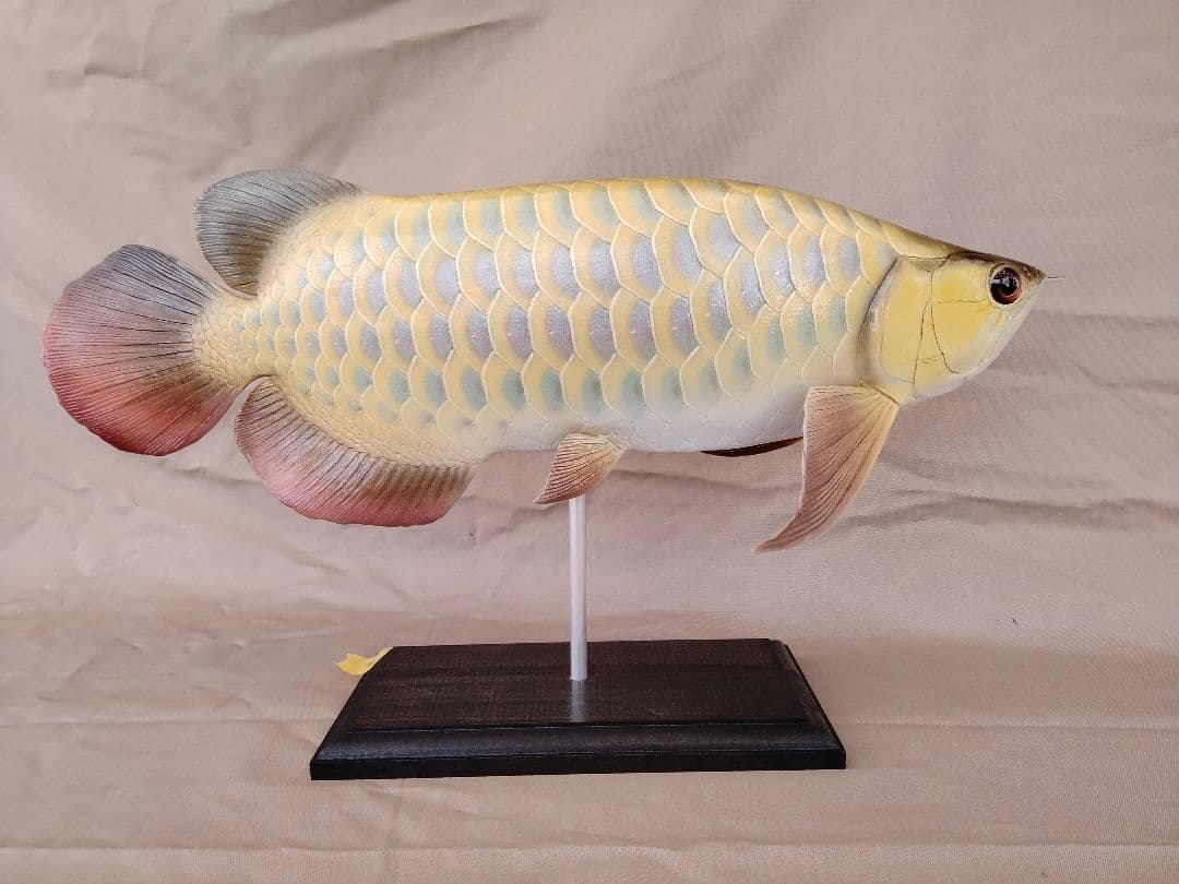 ハンドメイド2　41cmアジアアロワナ　フィギュア　レプリカ　熱帯魚　模型