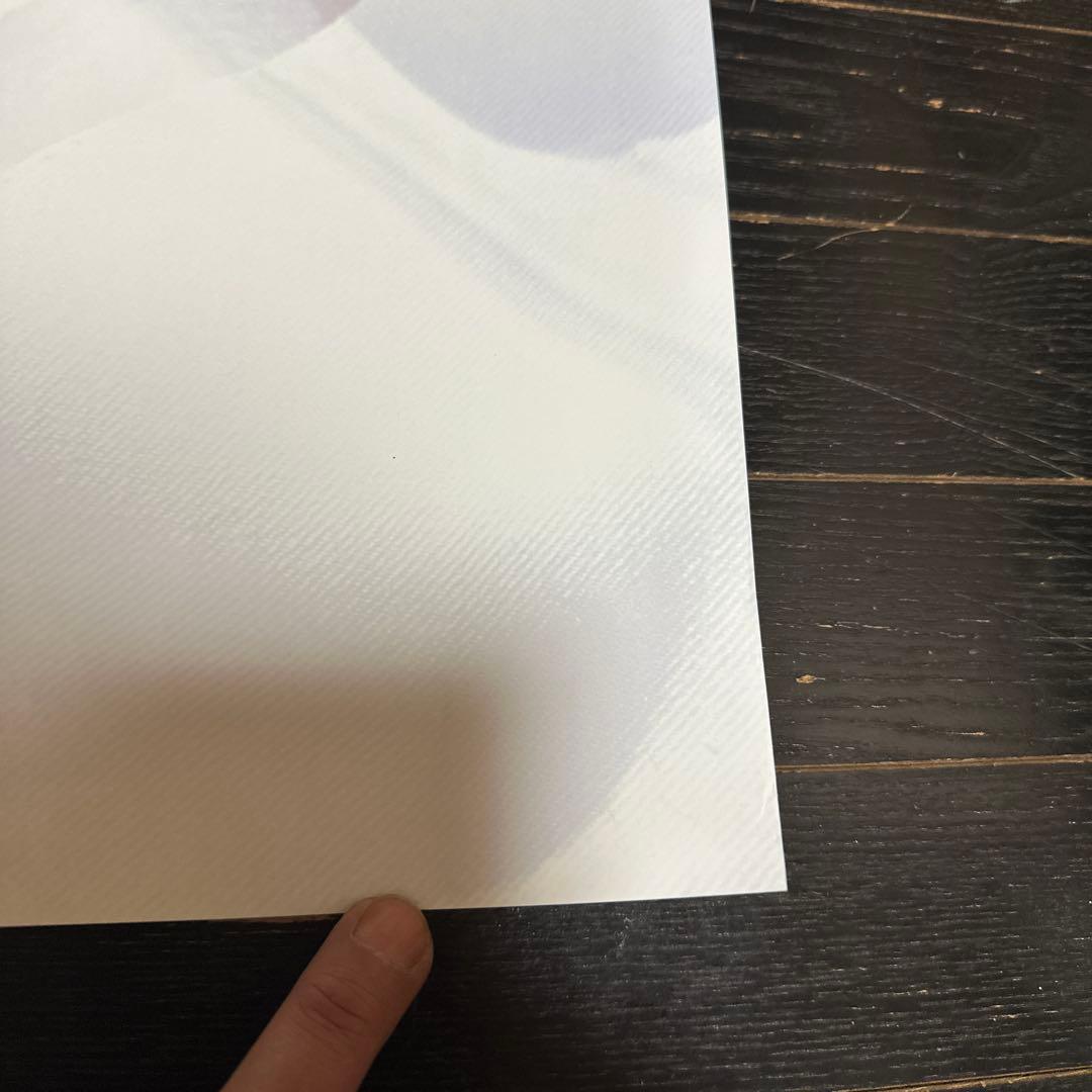 桃井かおり　A1サイズ　ポスター　SK-Ⅱ 当時品　女優　タレント　化粧品　④