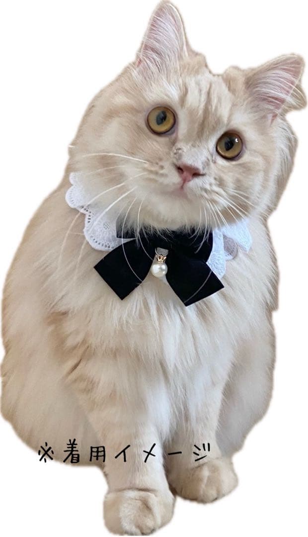 フレアスタイ(黒リボン) 177-800