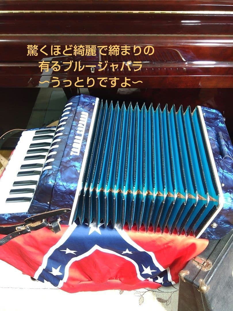 （美品即演奏可）TAMBO SOPRANO アコーディオン 青【信頼の日本製】
