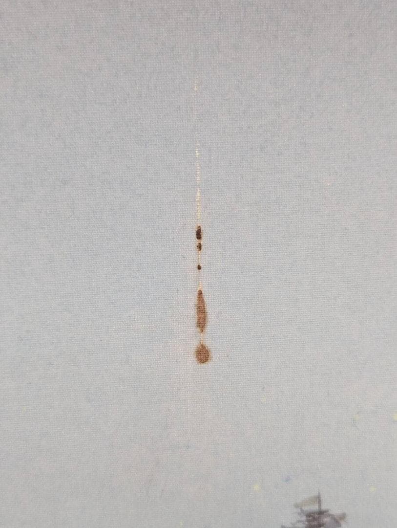 【真作】掛軸　川島正行　富嶽　日本画　吉祥画題　霧中富士　二重箱入　U30