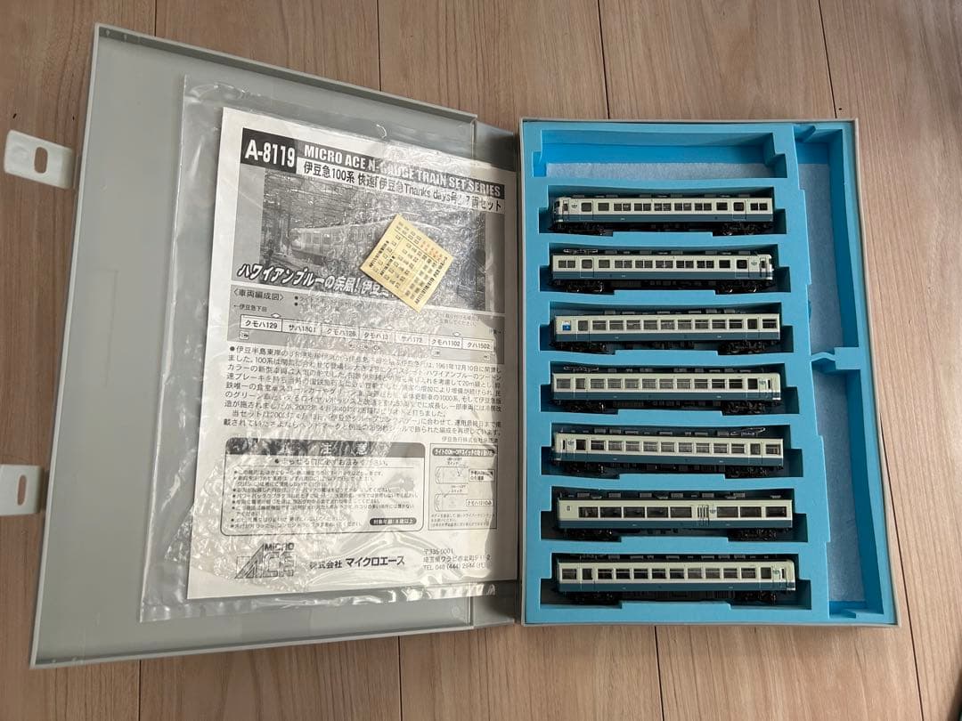 伊豆急 100系 快速 伊豆急Thanks days号 A8119