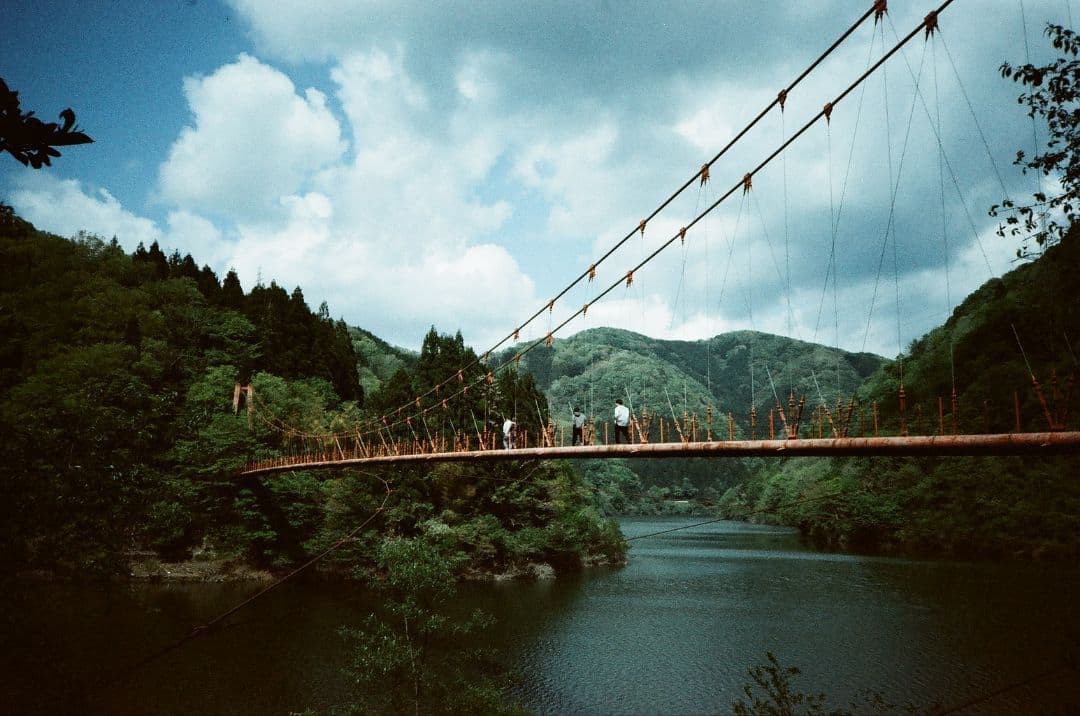 動作確認済&説明書付属 Nikon AF600 コンパクトフィルムカメラ 作例有